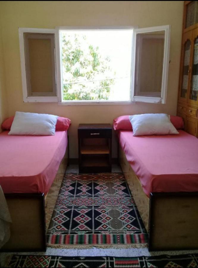 Mastonkel Hotel Aswan Ngoại thất bức ảnh